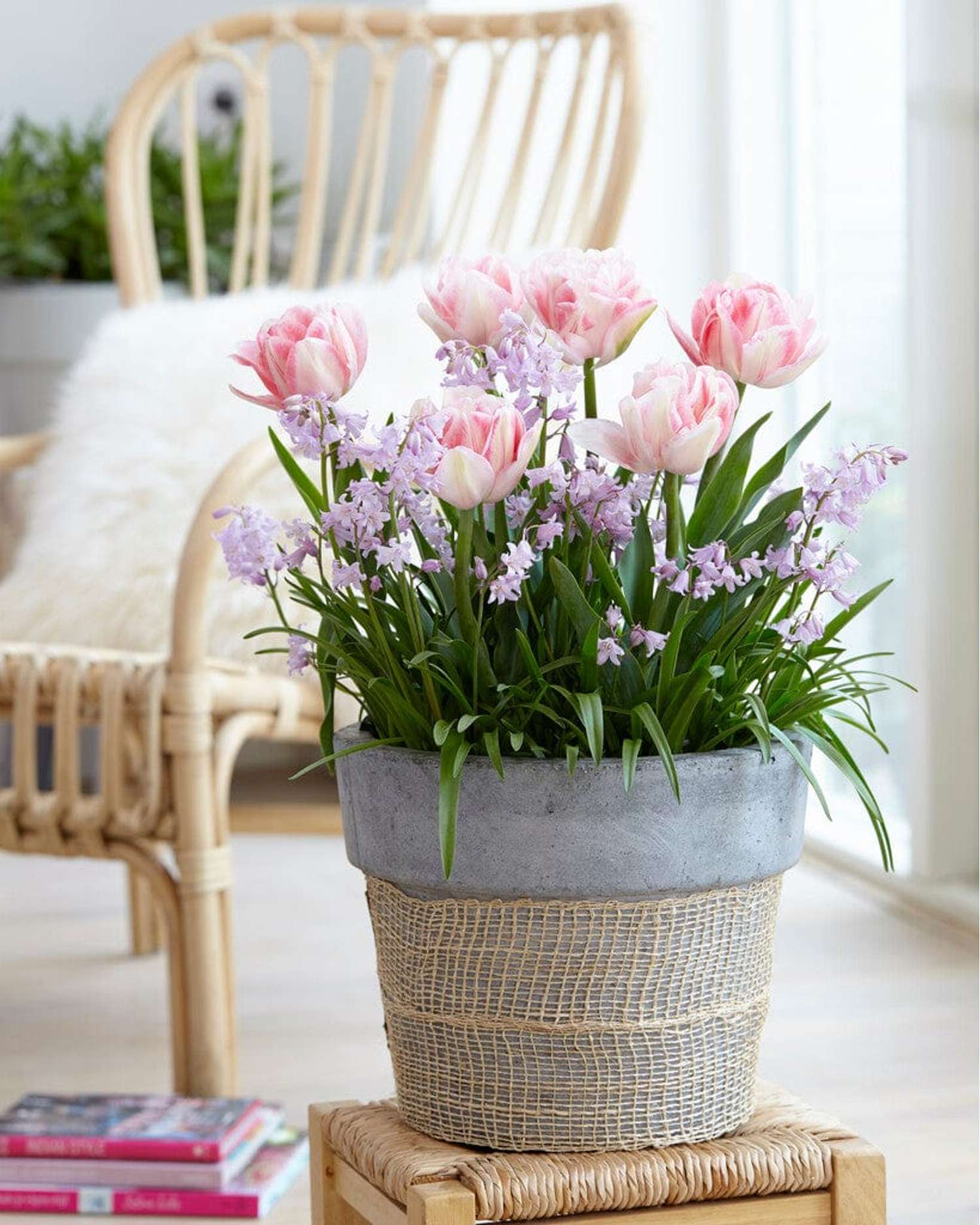 Mélange de bulbes 'Pink Suffusion'